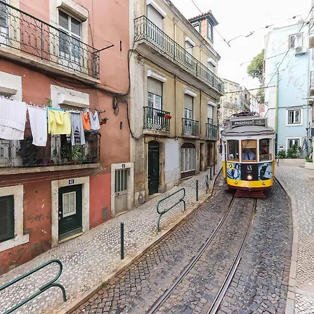 Graca Elegant By Homing *